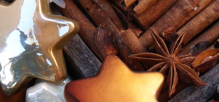 Gärtnerhof Büge - Gartenboutique